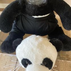 Secret teddy bear 🧸 