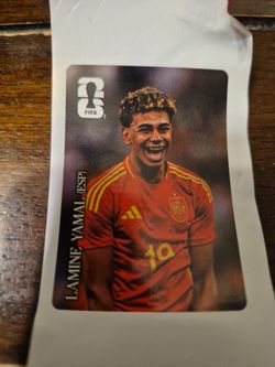 Coco cola panini sticker