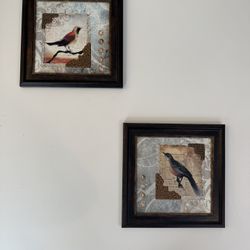 Pair of Framed Bird Prints