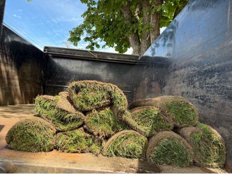 $50 9rolls of the sod ready for install