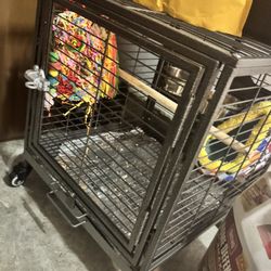 Bird Cage 