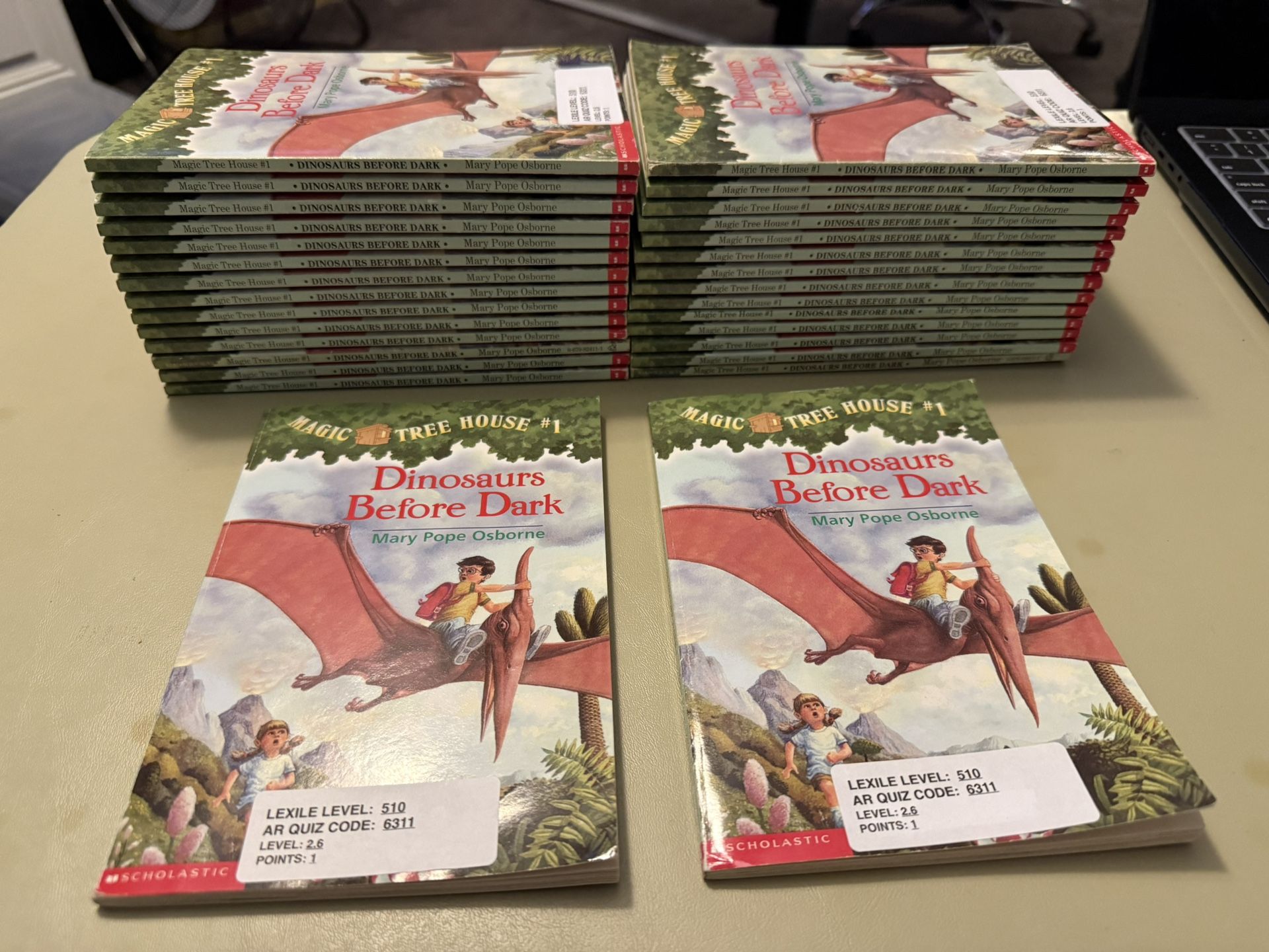Magic Tree House Book 1 Dinosaurs Before Dark Class Set of Chapter Books (30 Copies)