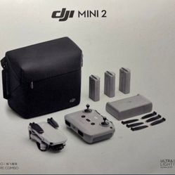 DJI Mini 2 