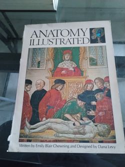 ANATOMY ILLUSTRATED 