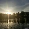 Alba