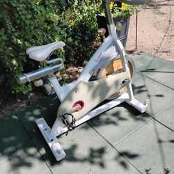 Sunny Magnetic Resistance Spin Exercise Bike 