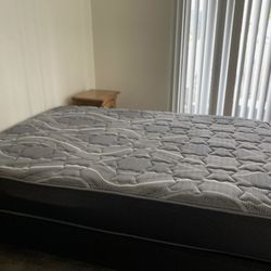 Double Mattress With Low Profile Bed Frame