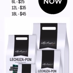 Pre-order (LECHUZA-PON)