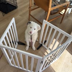 Homykic Bamboo Freestanding Dog Gate
