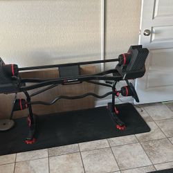 Bowflex Barbell 