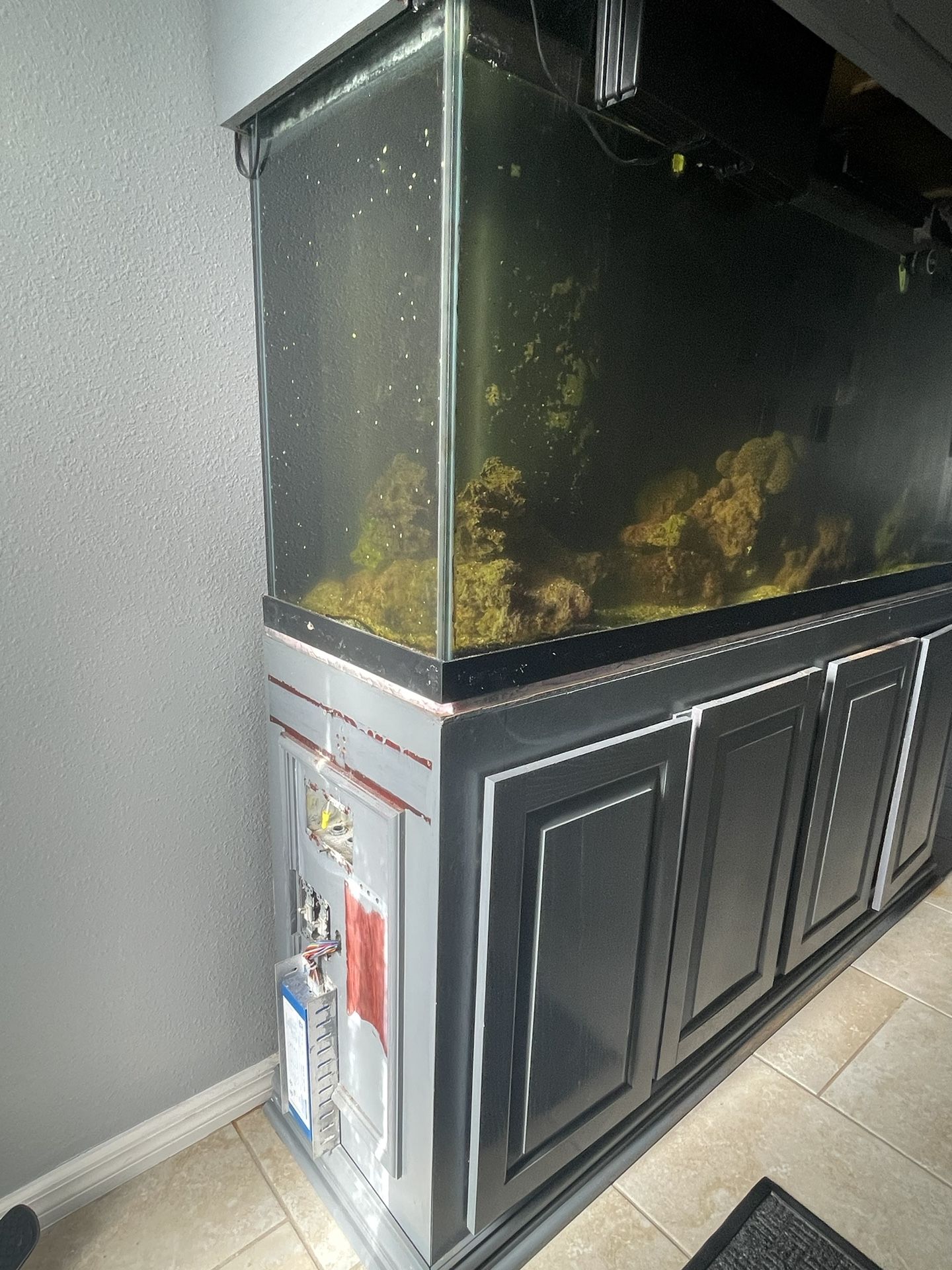 Acuario
