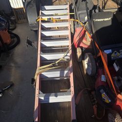 Werner 10ft Ladder 300lb Capacity