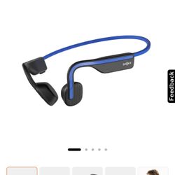 Shokz Open Move Wireless Headphones