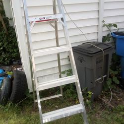 Werner Aluminum Ladder - 6ft