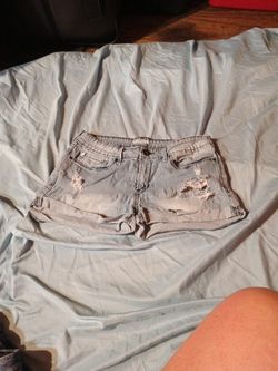 Denizen from Levi's Conductor Shorts