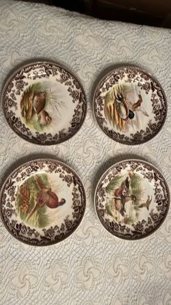 Spode Woodland Birds
