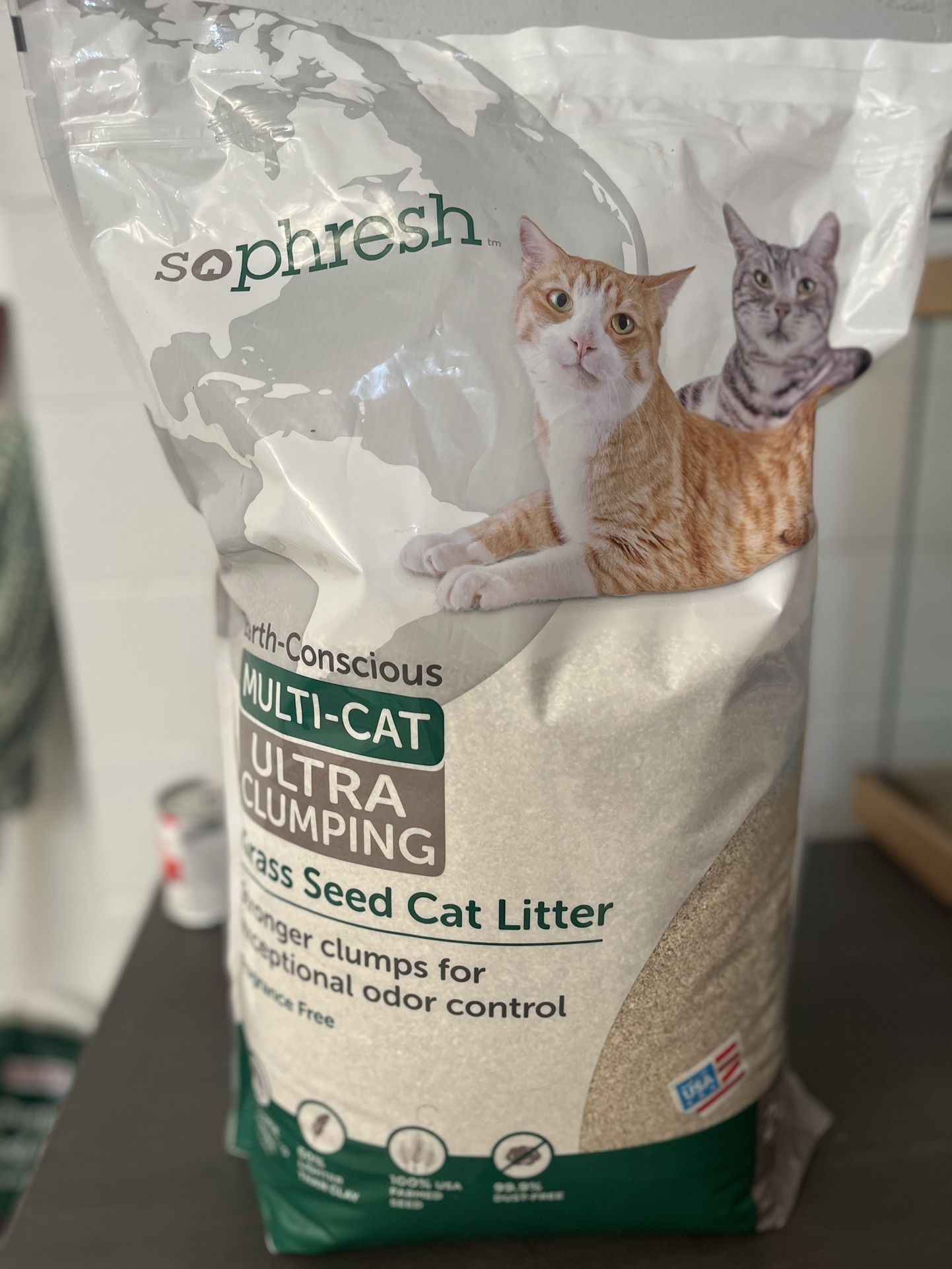 Cat Litter