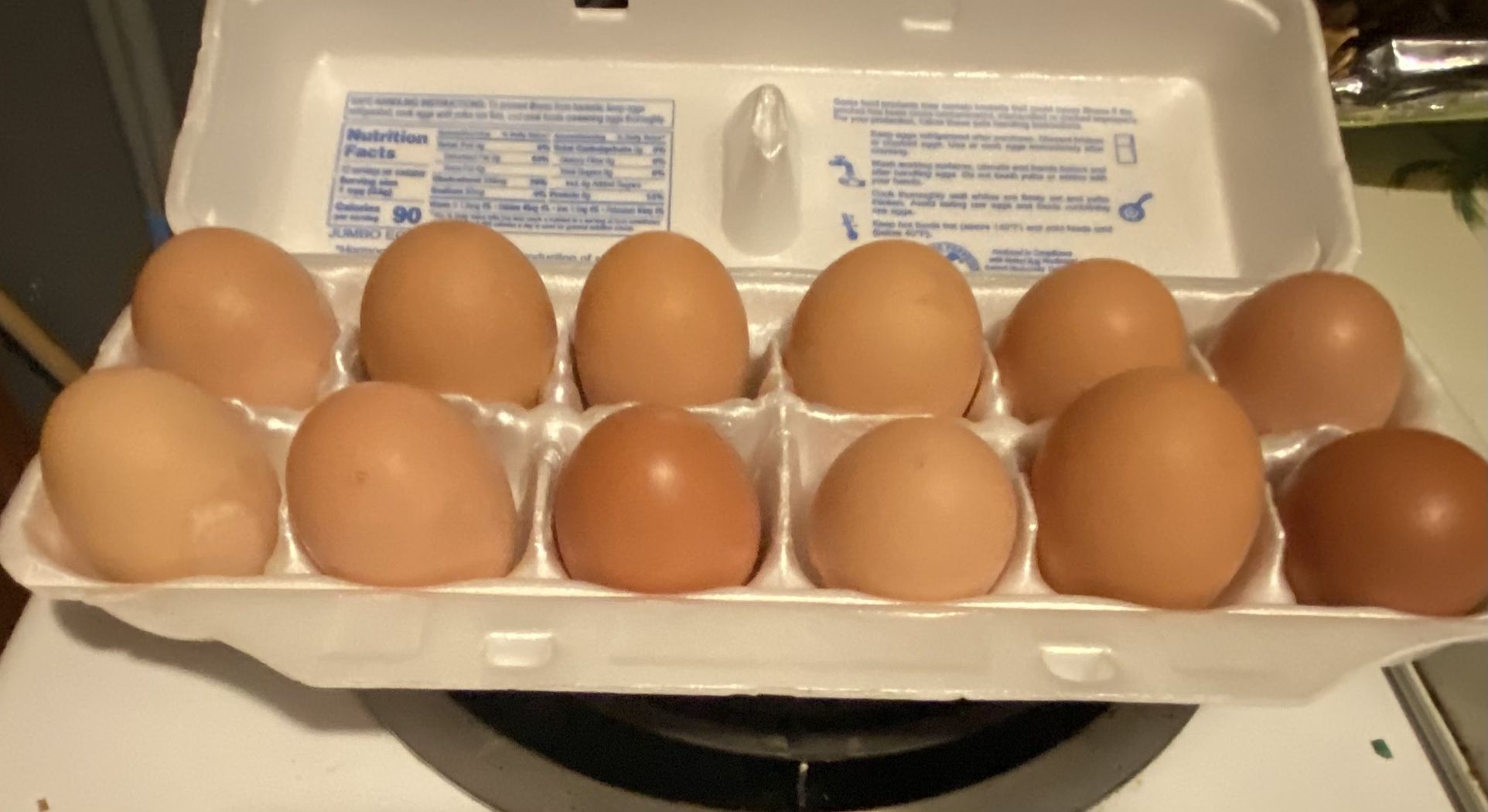 Fresh Eggs!