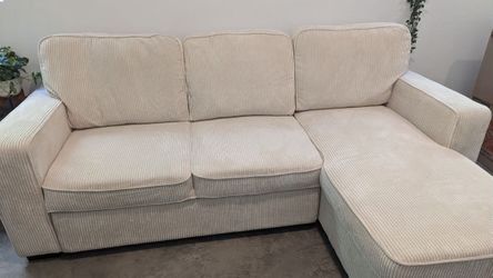 New sleeper sectional couch : free delivery