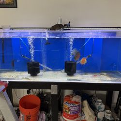 180 Gallon Acrylic Tank