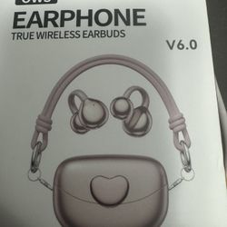 Earphones 
