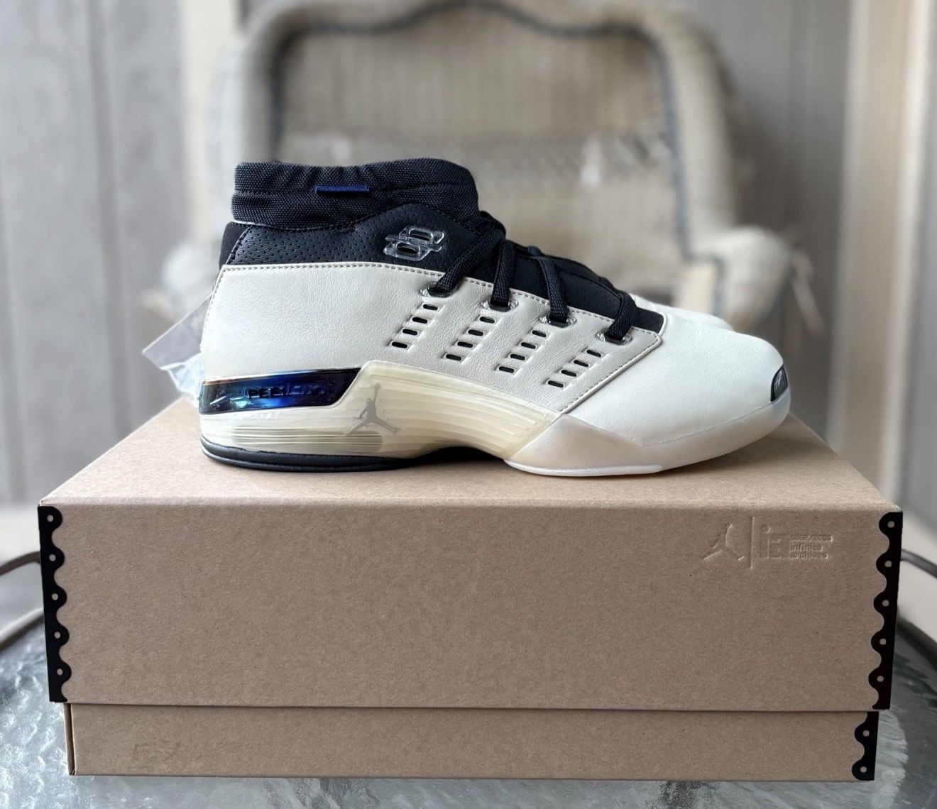 Jordan 17 Low Infinite Archive 