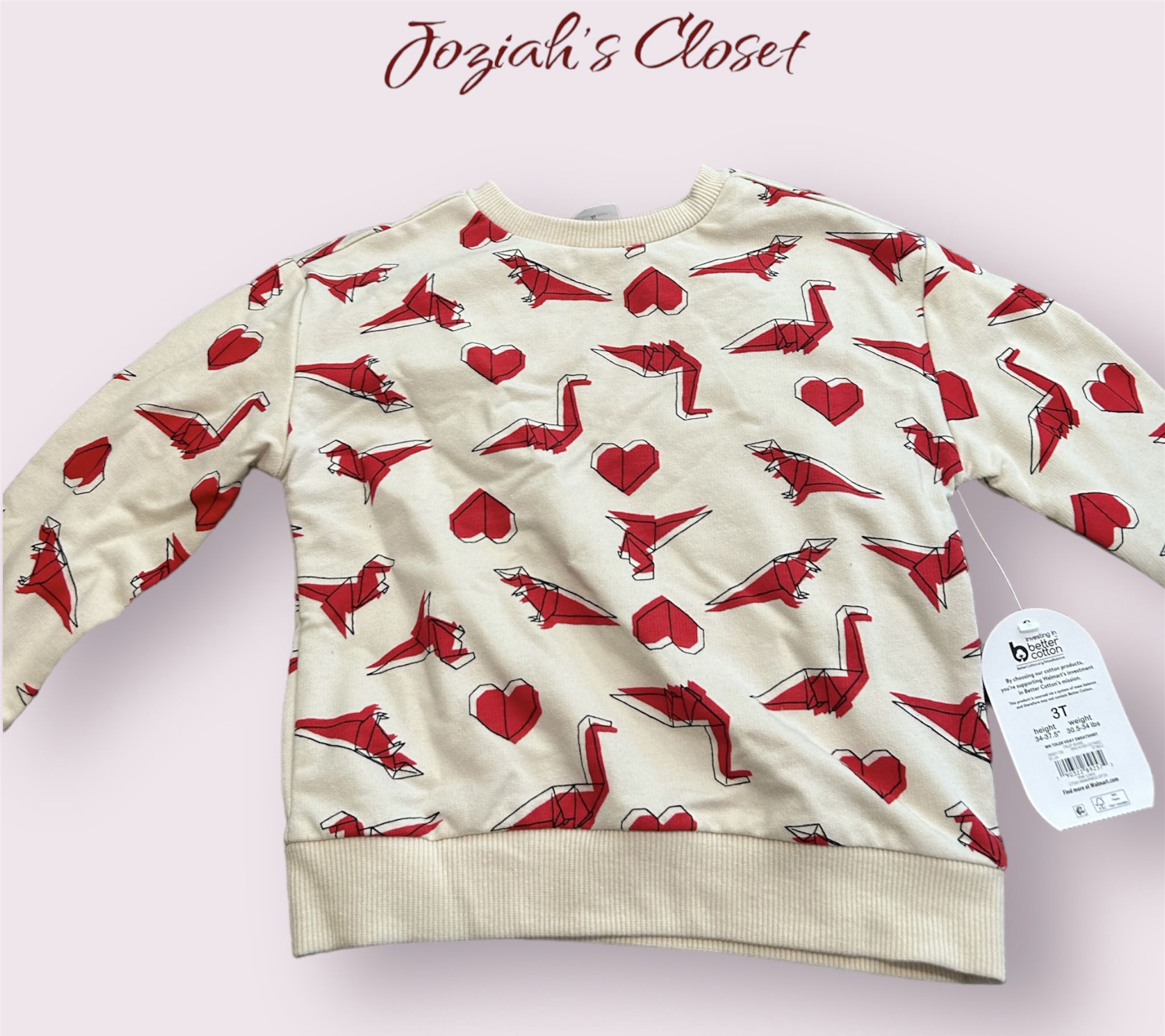 Dinosaur & Heart Sweater