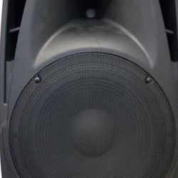 edison professional speaker 