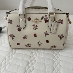 Coach Ladybug Purse 