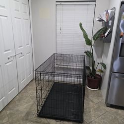 XXL Dog Crate 48×33×30 Like New