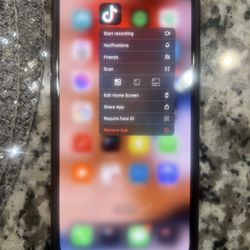 iPhone 15 Pro Max (with Tiktok)
