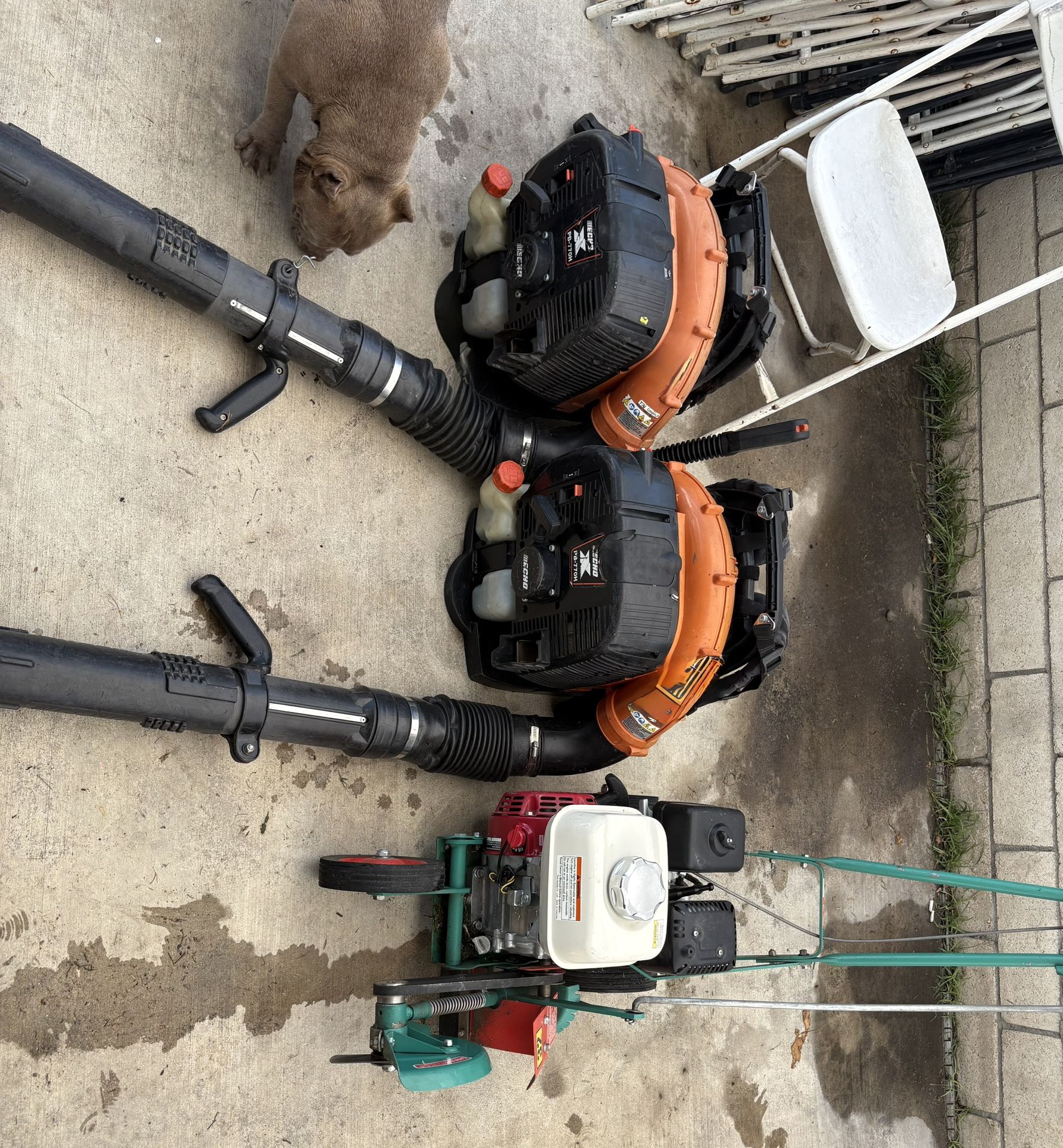 2 770 Echoe Blower 1power Trim