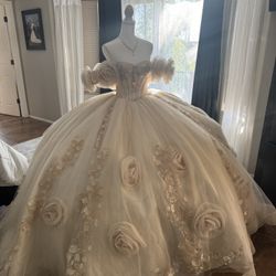 Ragazza Colección 2025vestido De XV