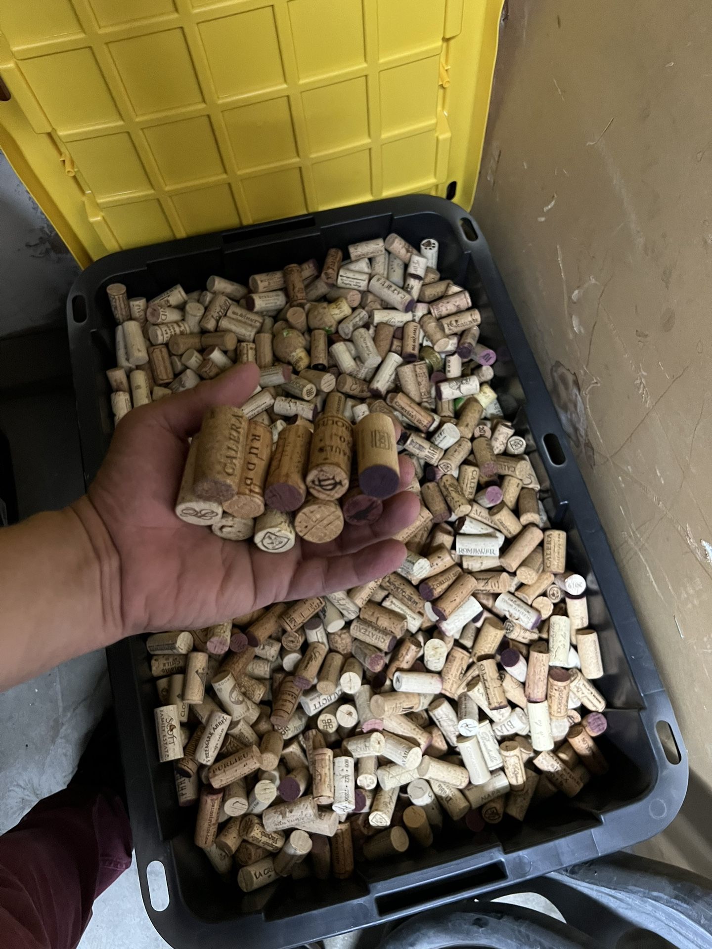 WiNE CORKS