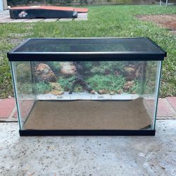 10 Gallon Reptile Cage With Accessories