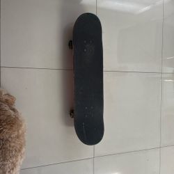 Full Size Skateboard – Good Condition