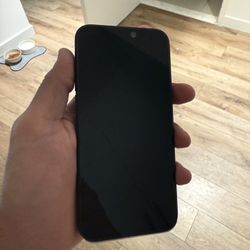 iPhone 15 Pro Max 256G
