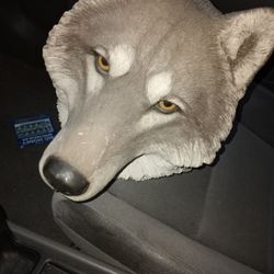 Heavy wolf head statue vintage 