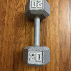 20lb Dumbbell 