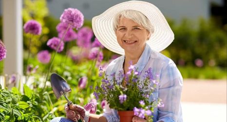 Gardening PLANTS   Care 