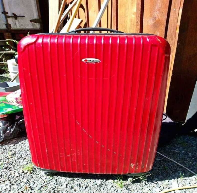 Travel Easily with Durable Checked Luggage! as smile