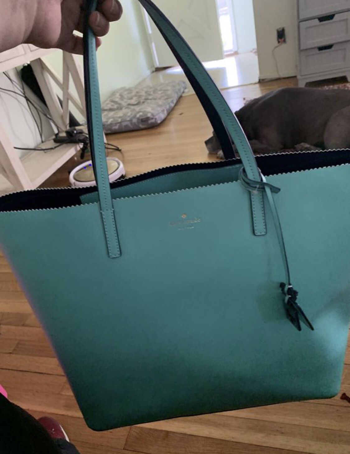 Kate Spade bag/tote/purse - never used