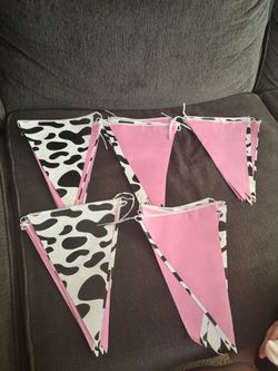 Holy cow 1st  birthday