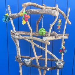 Large Parrot / Macaw Perch Tree - Thick N Curvy , Loved By Gnarly Macaws !! 