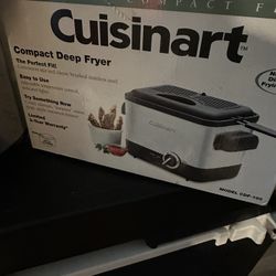 Mini Fryer