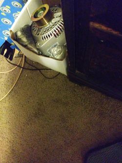 Mustang alternator used