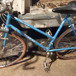 Schwinn Traveler 