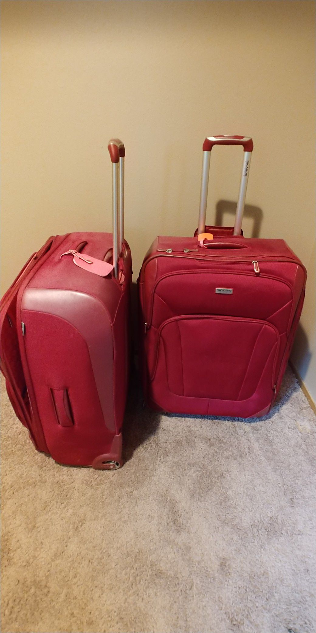 Luggage -Ricardo Elite - large size