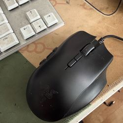 Razer Naga trinity