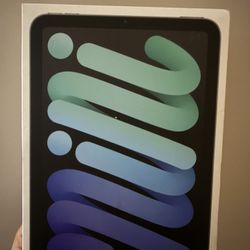 iPad Mini 128 Gb Space Gray (2 Inventory)
